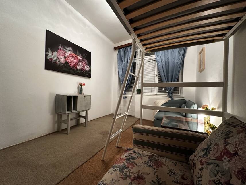 ROOMS Udolni Photo 12