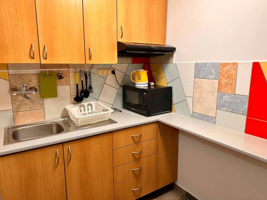 Apartments Turgenevova-Olomoucka with parking Photo 1