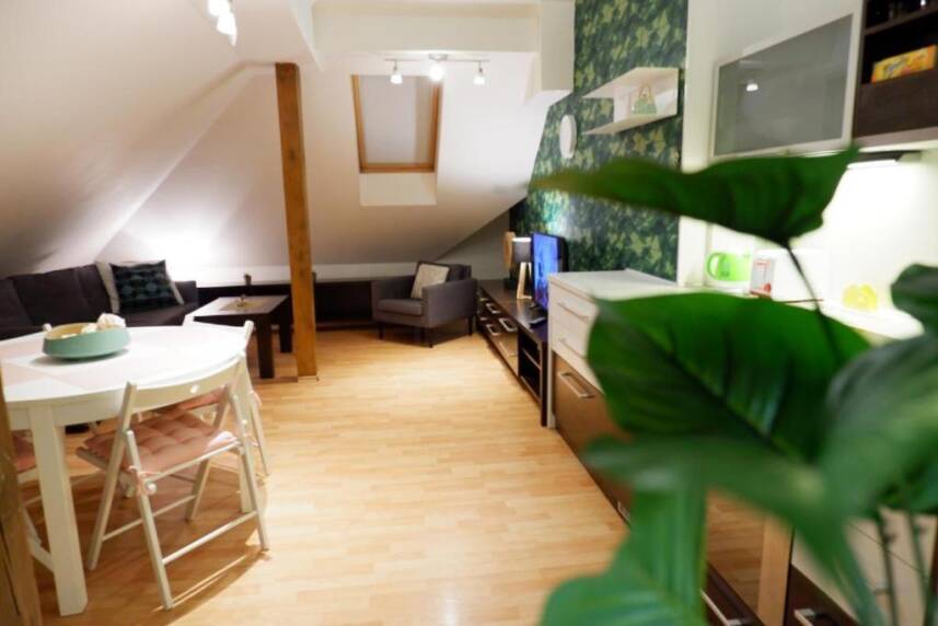 In the city centre with St.Peter's cathedral view and parking Photo 4