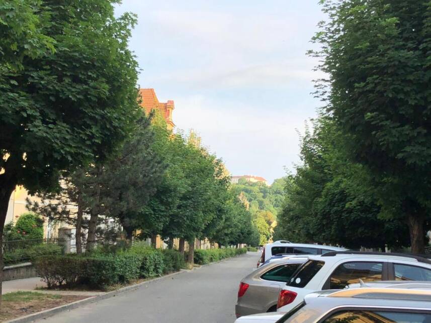 ROOMS Veveří - Úvoz, 10 min walk to the centre Photo 6