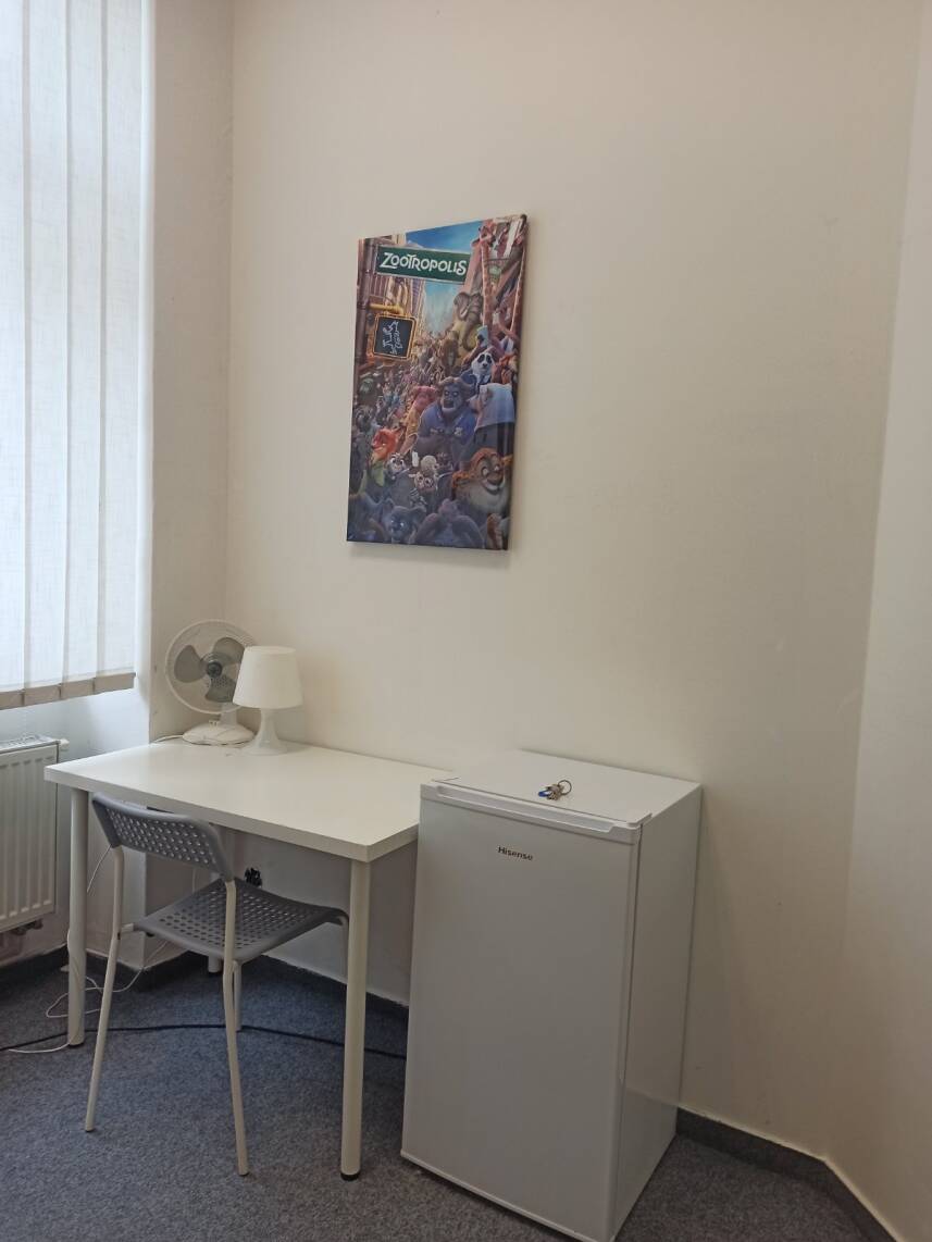 ROOMS Veveří - Úvoz, 10 min walk to the centre Photo 26