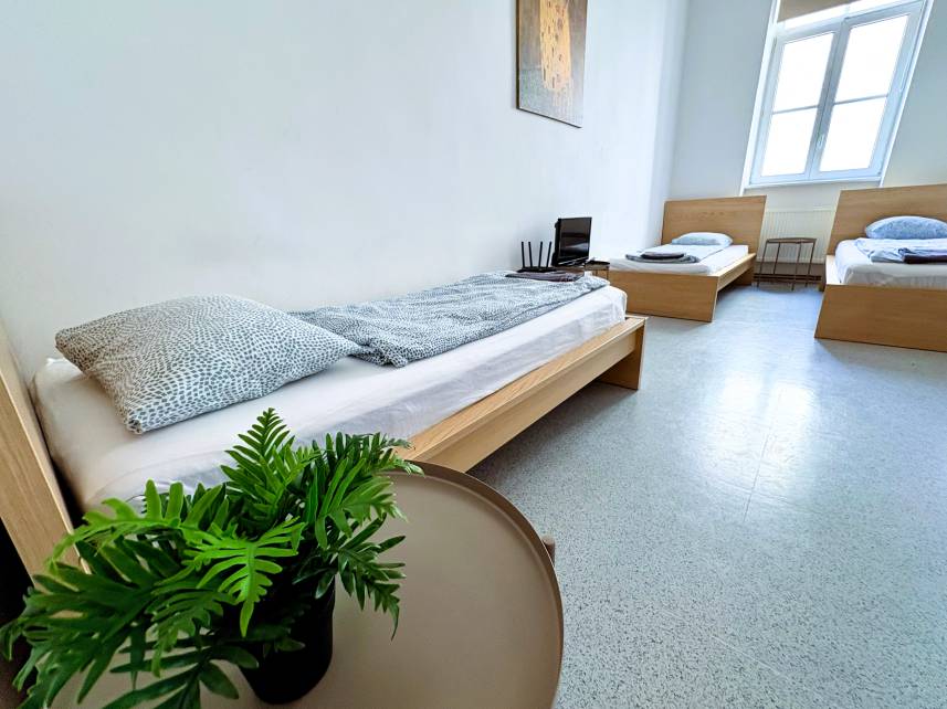 Apartmány v areálu Vlněna Photo 10