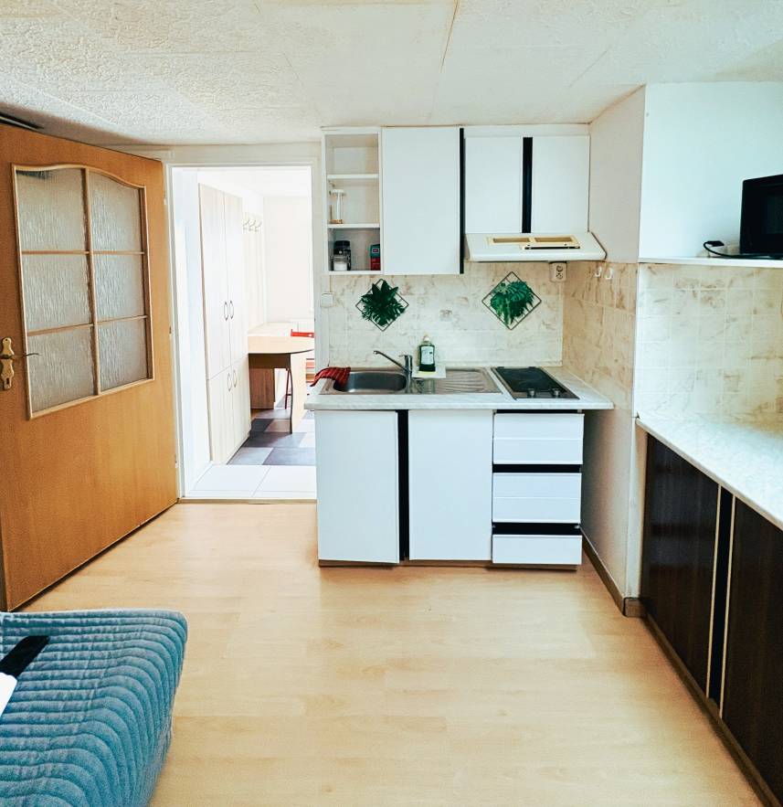 Apartmány Turgeněvova – Olomoucká a PARKOVÁNÍ Photo 17