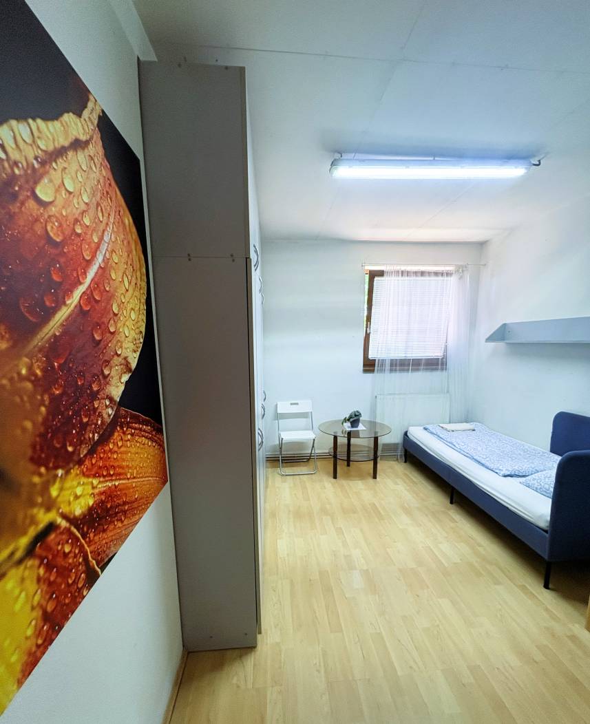Apartmány Turgeněvova – Olomoucká a PARKOVÁNÍ Photo 24