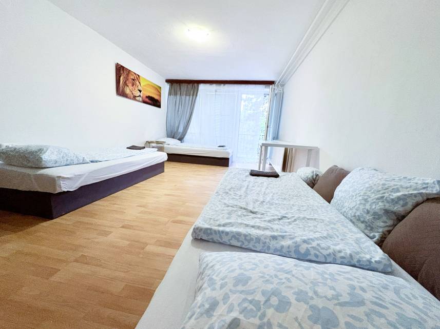 Světlý pokoj s terasou a výhledem do zeleně – kousek od BVV Photo 6