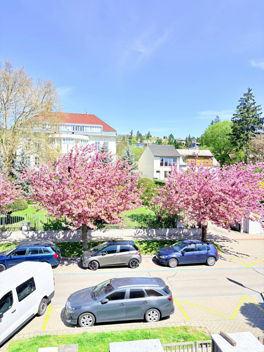 Světlý pokoj s terasou a výhledem do zeleně – kousek od BVV Photo 28