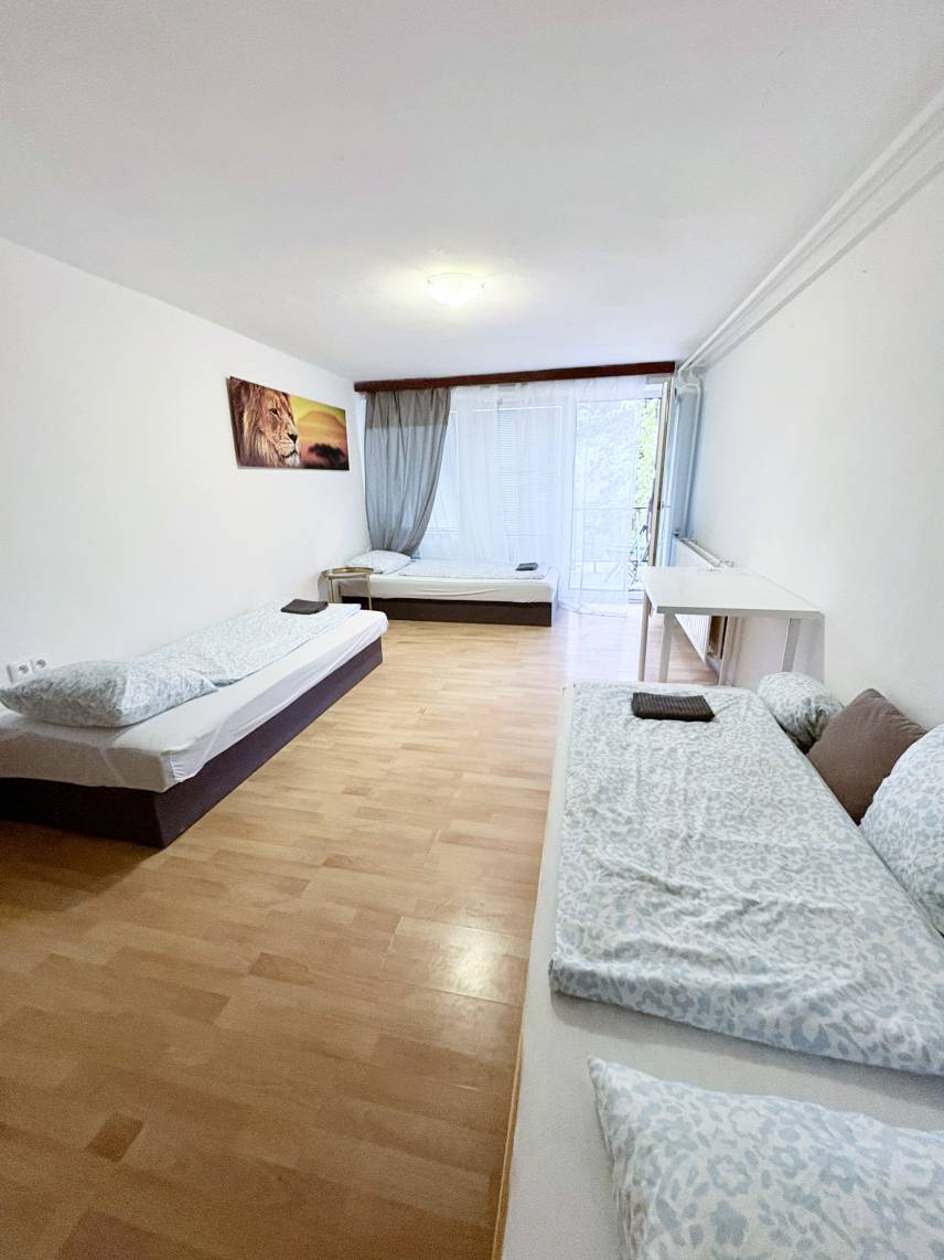 Rooms Výstaviště BVV – pohodlný dům u brněnského výstaviště Photo 1