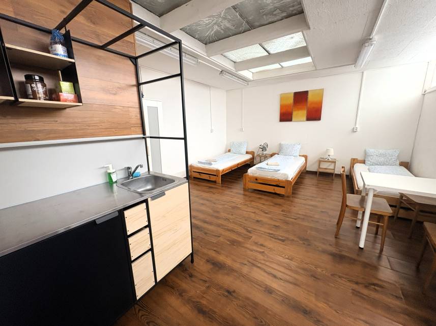 Apartmány Turgeněvova – Olomoucká a PARKOVÁNÍ Photo 39