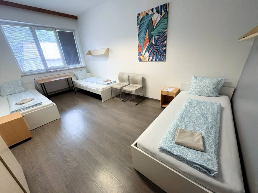 Apartmány Turgeněvova – Olomoucká a PARKOVÁNÍ Photo 43