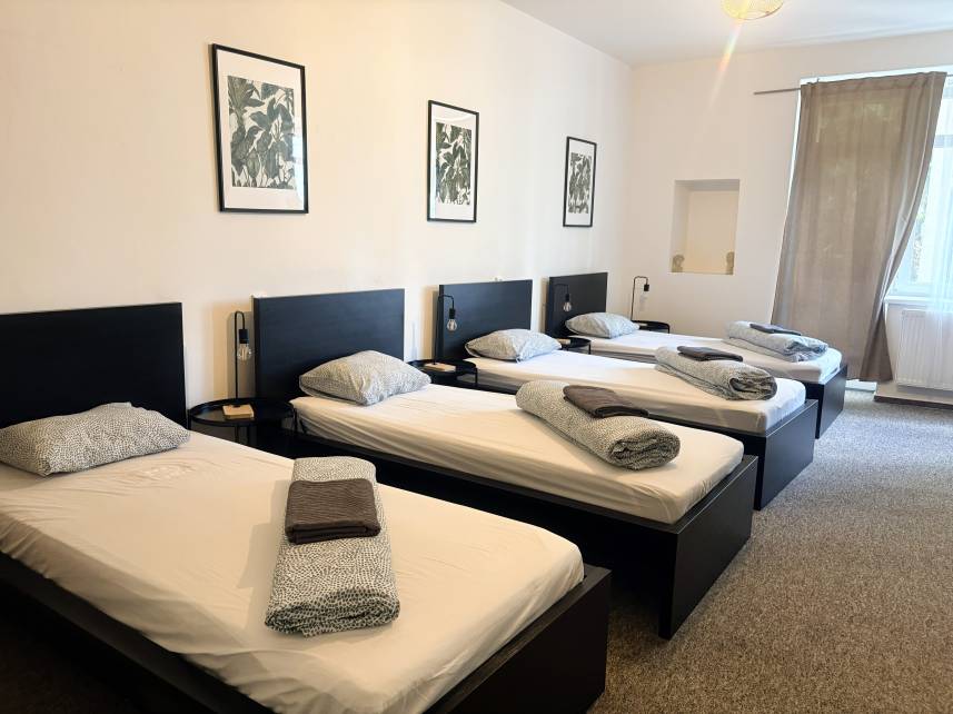 2 - Čtyřlůžkový pokoj s terrasou Photo 12
