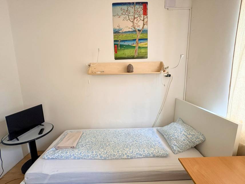 Dvoulůžkový pokoj s oddělenými postelemi Photo 14